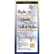 Booklet cover titled 'Sharks, Skates & Rays of the Atlantic & Gulf of Mexico' with illustrations and text.