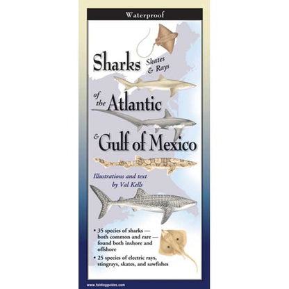 Booklet cover titled 'Sharks, Skates & Rays of the Atlantic & Gulf of Mexico' with illustrations and text.