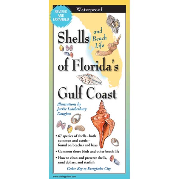 Booklet cover of 'Shells and Beach Life of Florida's Gulf Coast' with illustrations of shells and beach life.
