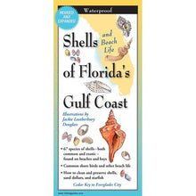 Booklet cover of 'Shells and Beach Life of Florida's Gulf Coast' with illustrations of shells and beach life.