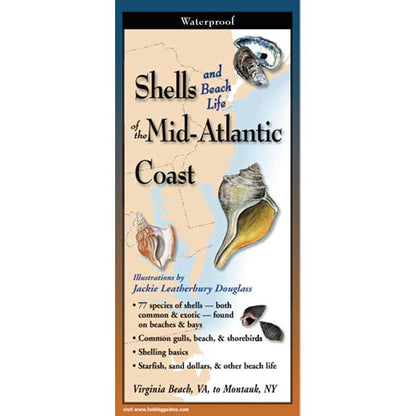 Booklet cover about shells and beach life of the Mid-Atlantic Coast with shell illustrations and map.