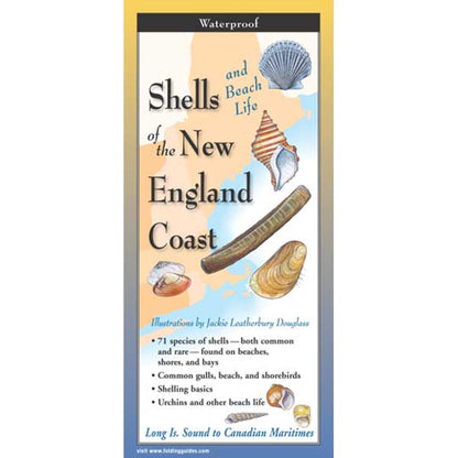 Booklet cover titled 'Shells and Beach Life of the New England Coast' with illustrations and text.