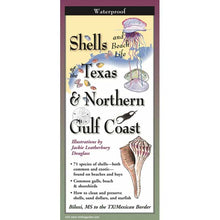 Booklet cover titled 'Shells and Beach Life of Texas & Northern Gulf Coast' with illustrations and text.