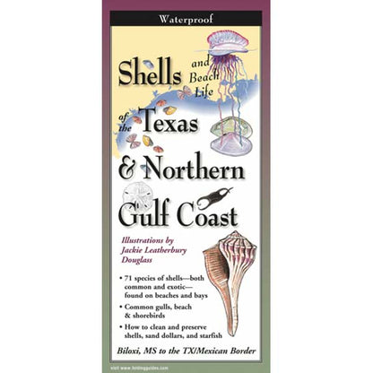 Booklet cover titled 'Shells and Beach Life of Texas & Northern Gulf Coast' with illustrations and text.