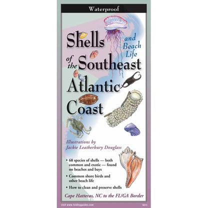 Booklet cover titled 'Shells and Beach Life of the Southeast Atlantic Coast' with illustrations and text.