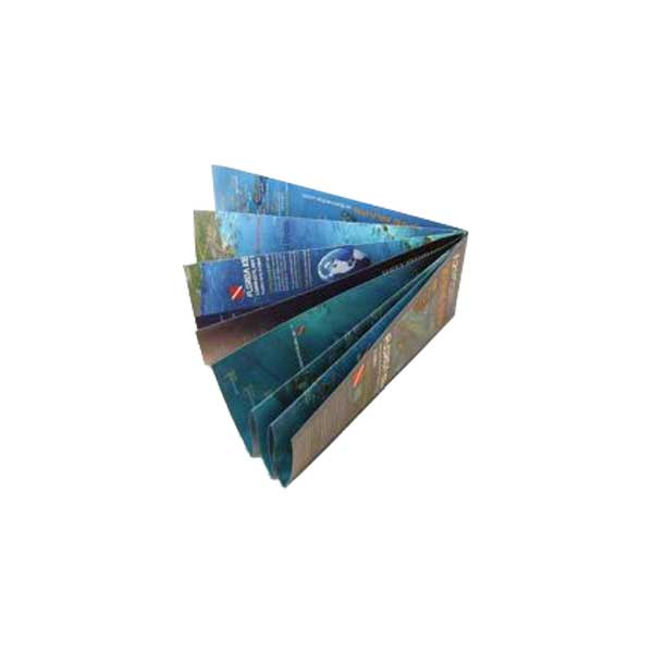 Stack of blue brochures with visible text and images on a white background