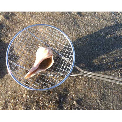 Shell on a metal strainer over sand