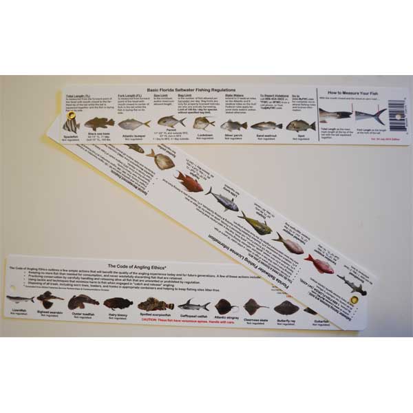 Educational chart with fish illustrations and text on a white background