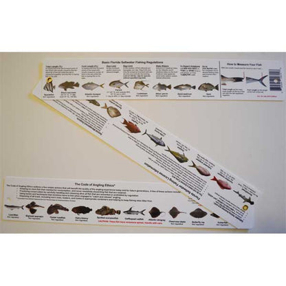 Educational chart with fish illustrations and text on a white background