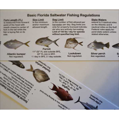 Fishing regulations poster for Basic Florida Saltwater Fishing Regulations with fish illustrations and text.