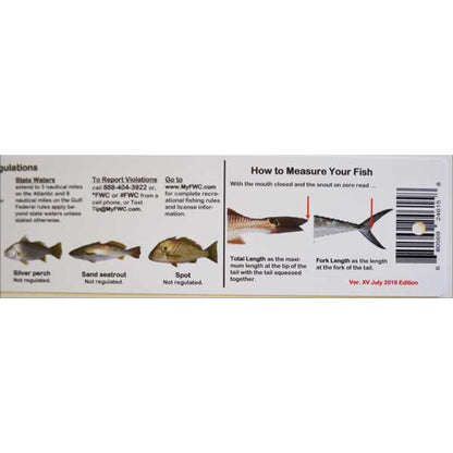 Measurement guide for fish with illustrations and text on a white background