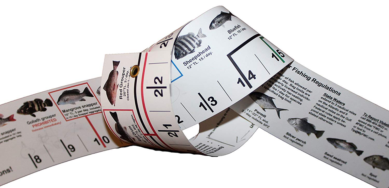 Fishing measurement tape with fish illustrations and regulations text on a white background