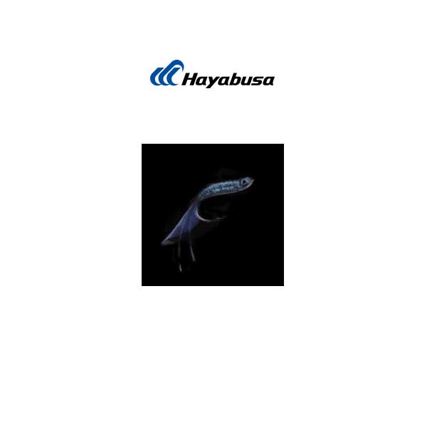 Hayabusa logo with a fish illustration on a white background