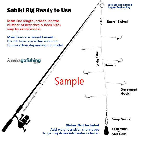 Diagram of a sabiki rig with labeled parts and text about fishing equipment.