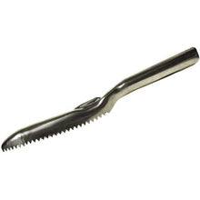 Metallic silver fish scaler on a white background